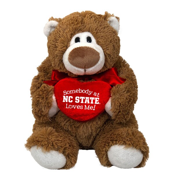 Plush Brown Bear Somebody Loves Me